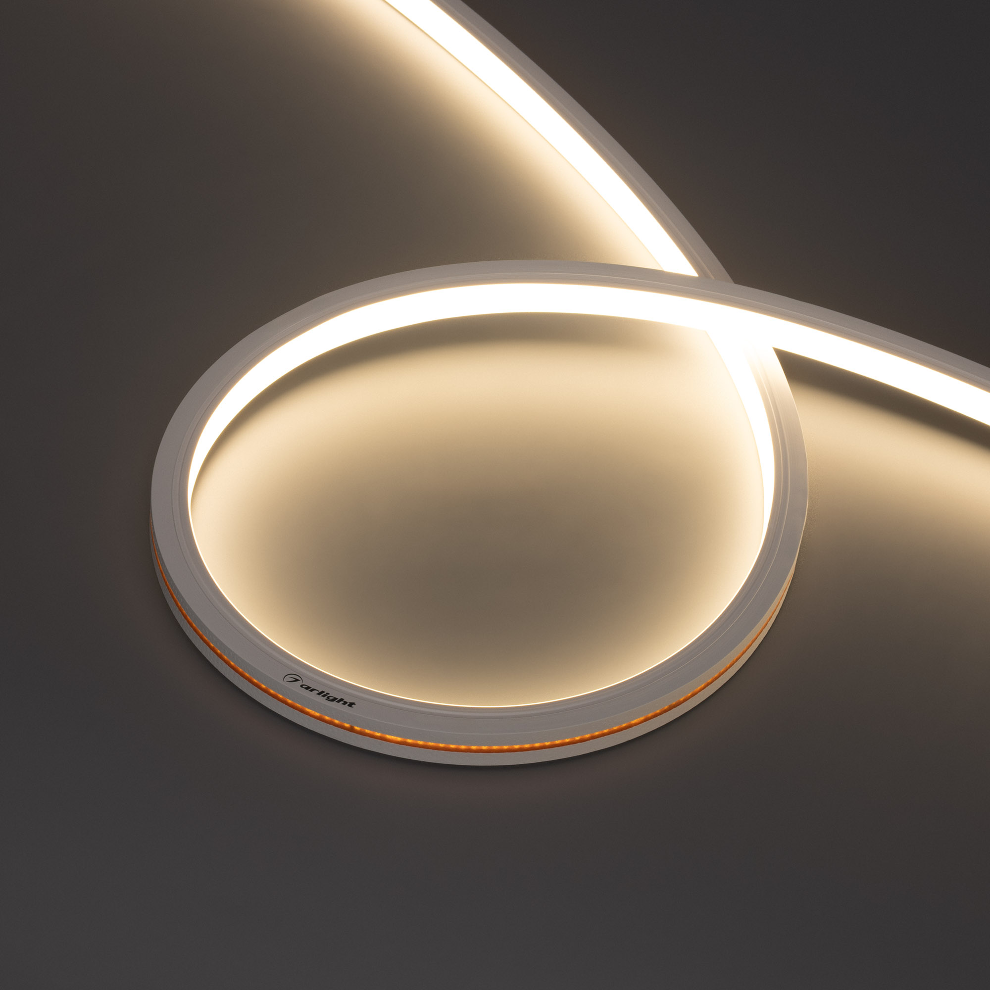 Arlight MOONLIGHT PRO — Гибкий светодиодный неон — MONO [изгиб: TOP; каналы: 1; высота, мм: 12.0; питание, В: 48.0; ширина, мм: 13.0]