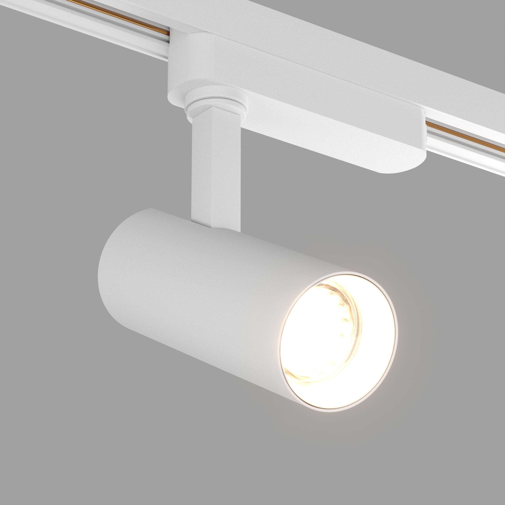 Светильник LGD-GERA-2TR-R55-10W Day4000 (WH, 24 deg, 230V) (Arlight, IP20 Металл, 5 лет)