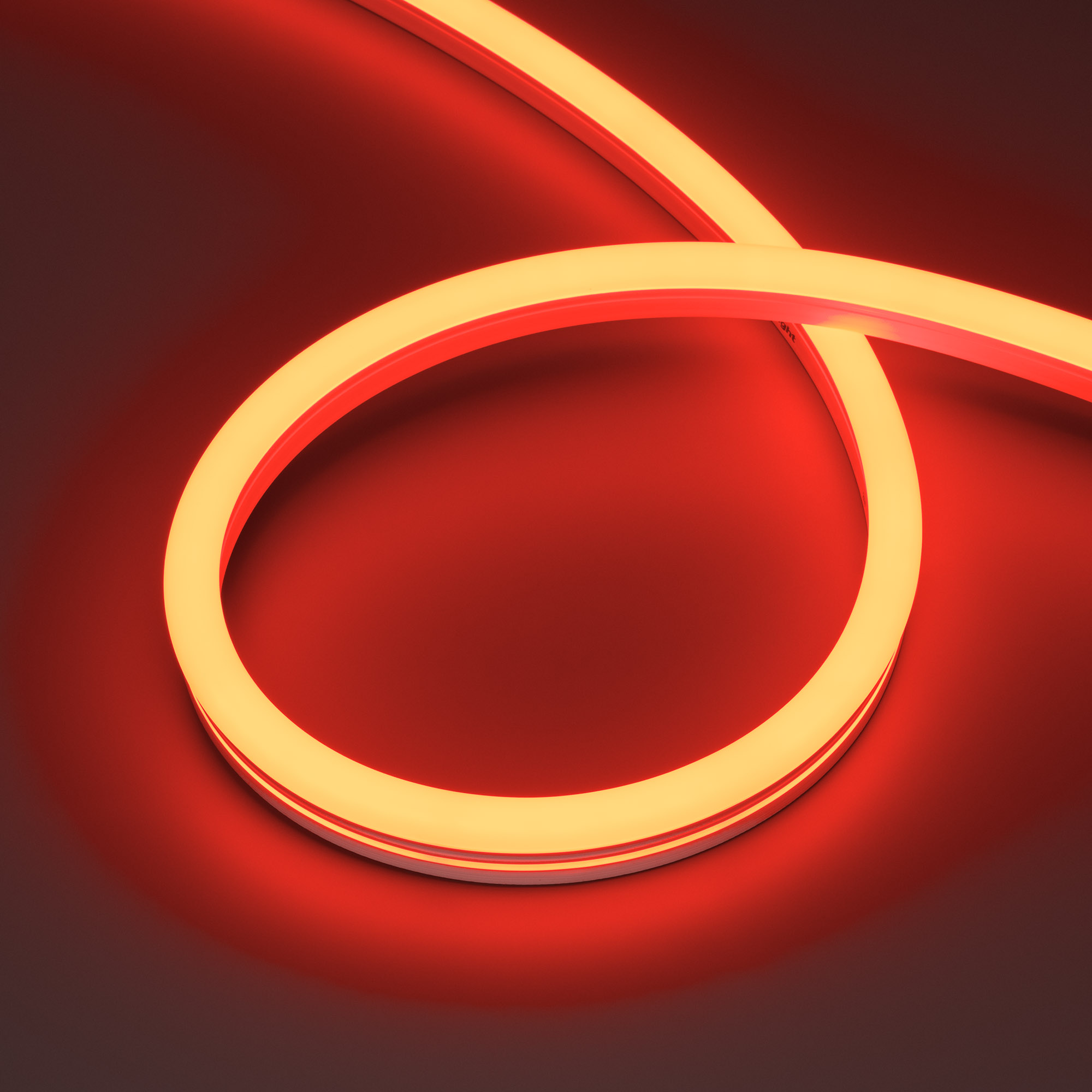 Arlight MOONLIGHT PRO — Гибкий светодиодный неон — RGB [изгиб: SIDE; каналы: 3; высота, мм: 24.0; питание, В: 24.0; ширина, мм: 12.0]