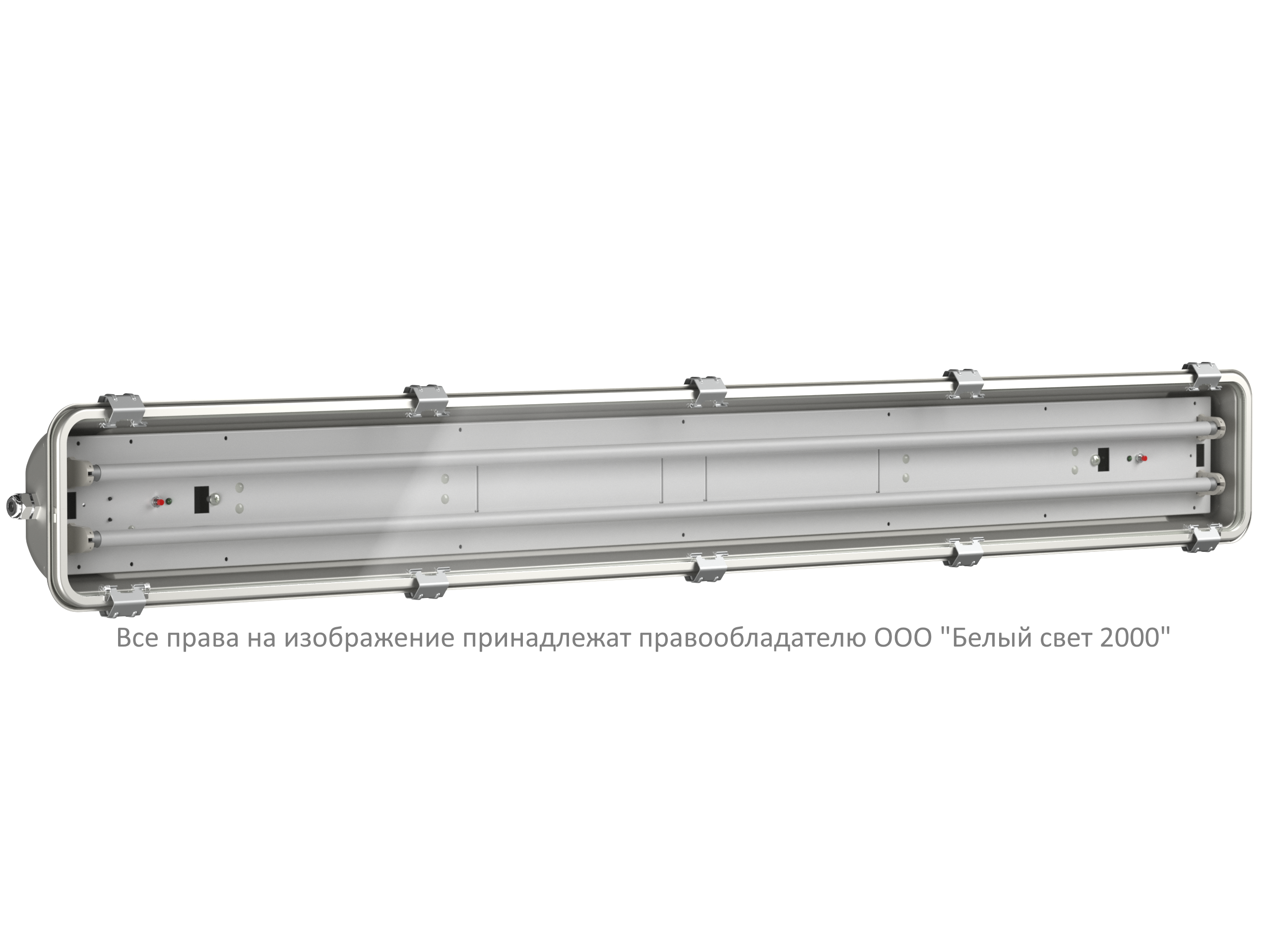 Аварийный светильник BS-SUBMARINE-10-L2-LED