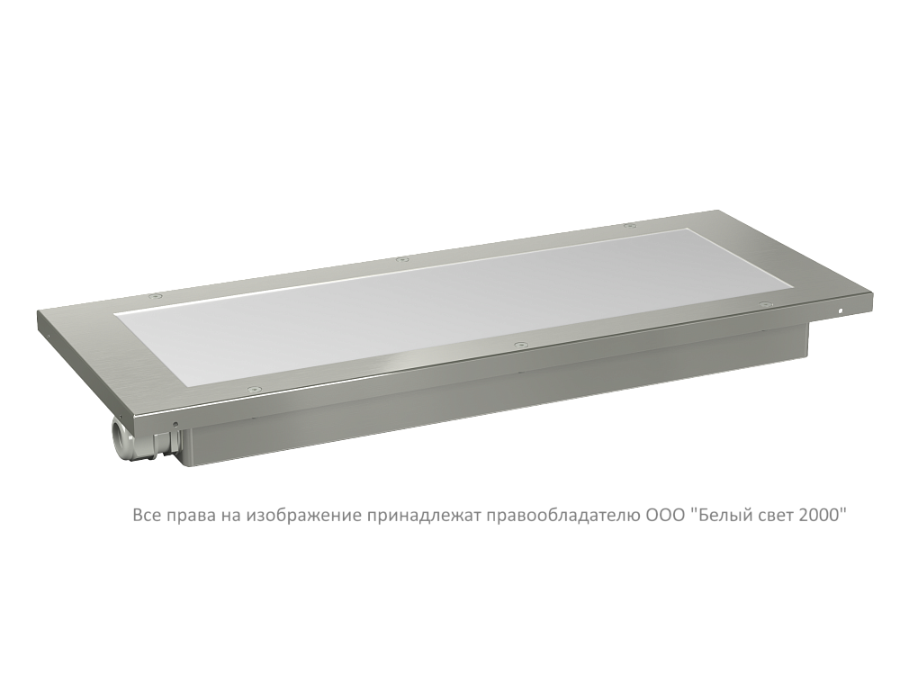 GALEON L
