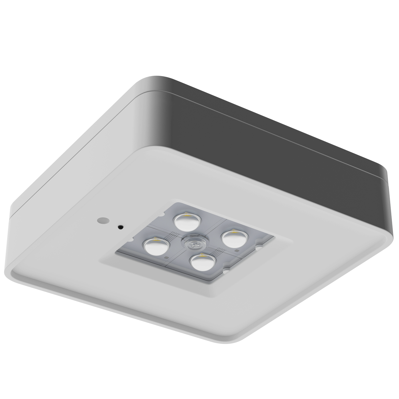 SPECTRA LED