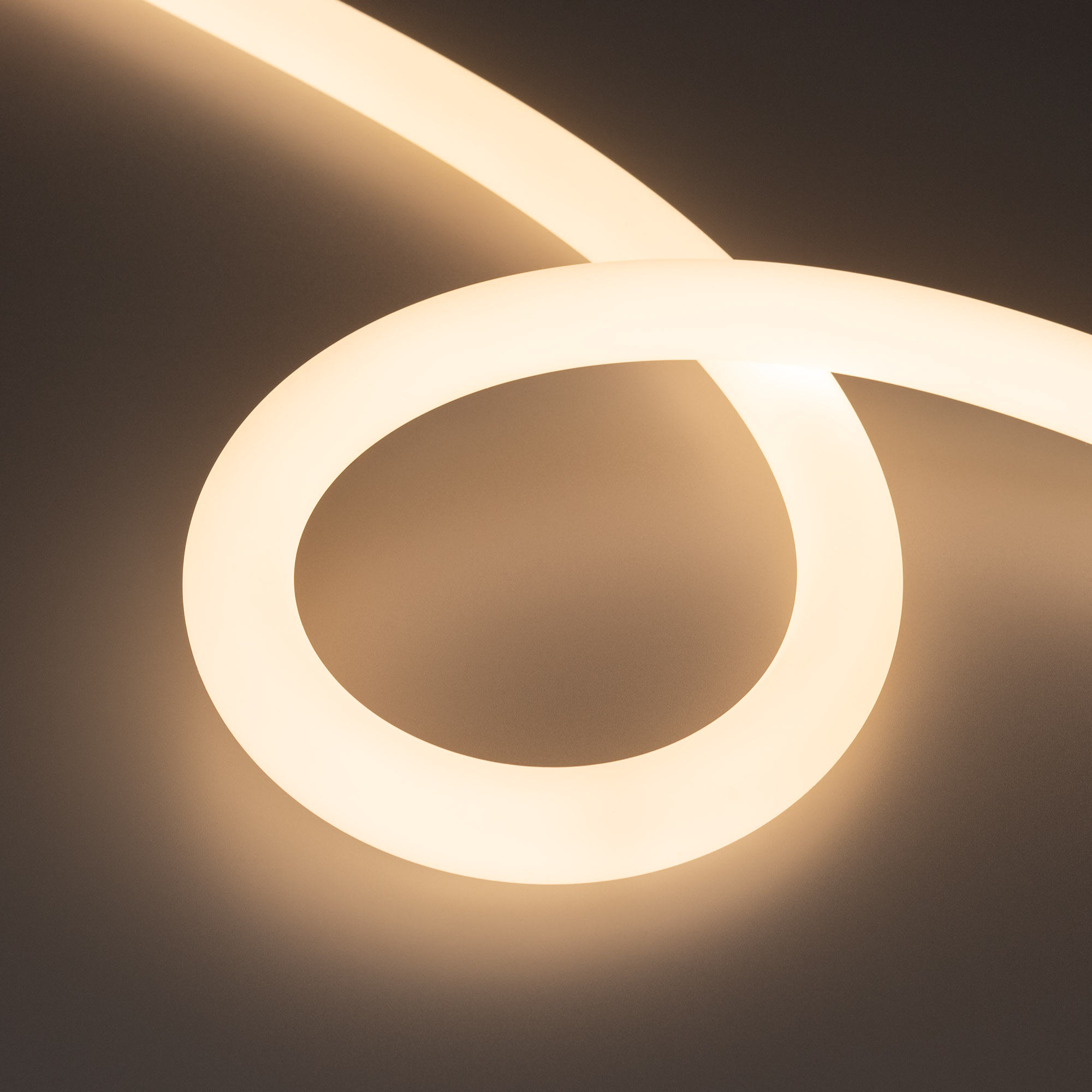 Гибкий неон MOONLIGHT D25 Форма