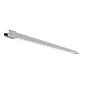 AGRIS TUBE
