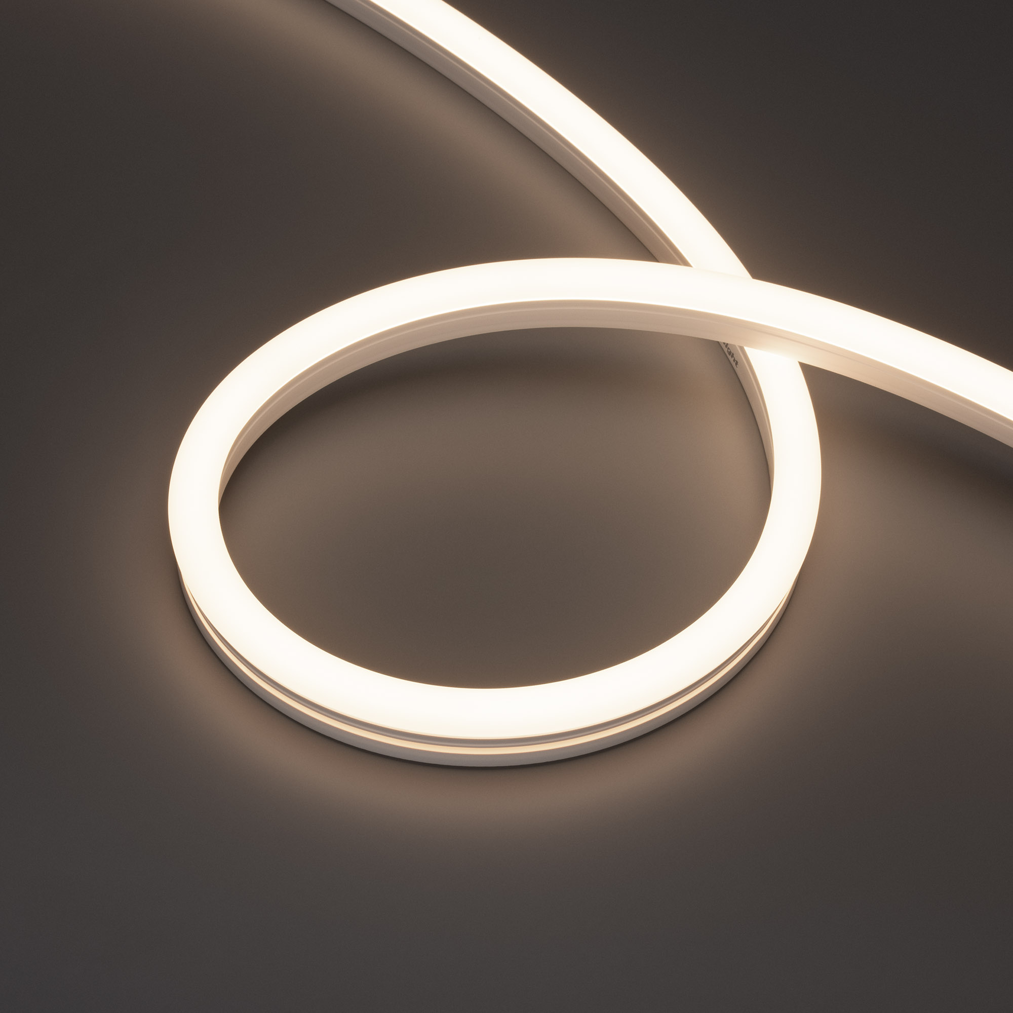 Arlight MOONLIGHT PRO — Гибкий светодиодный неон — MONO [изгиб: SIDE; каналы: 1; высота, мм: 24.0; питание, В: 48.0; ширина, мм: 12.0]