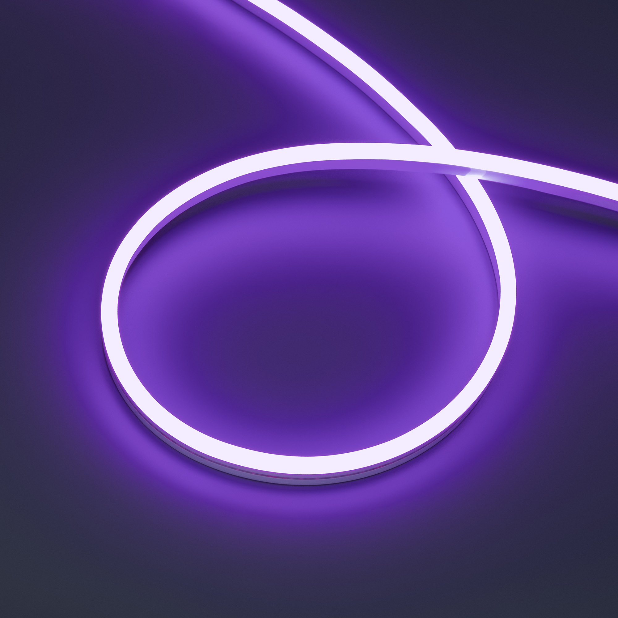 Гибкий неон Лента герметичная HALO-SIDE-A168-6x13mm 24V Purple (10 W/m, IP67, 2835, 5m) (Arlight, Силикон)