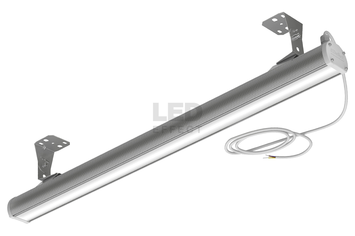 СТРУНА