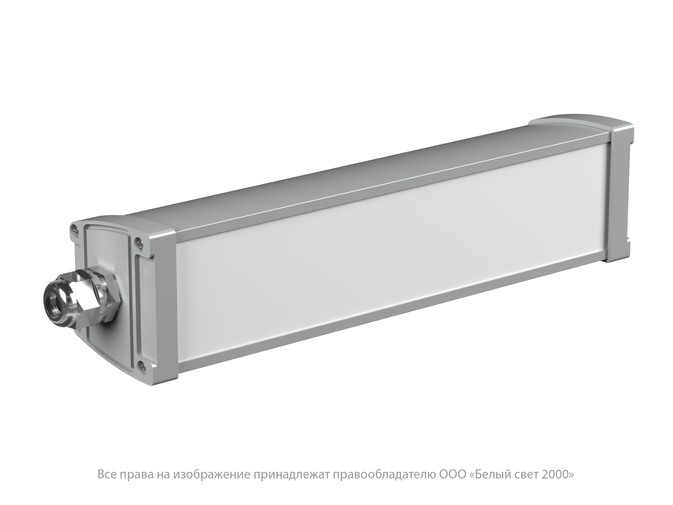 AMON L1 350