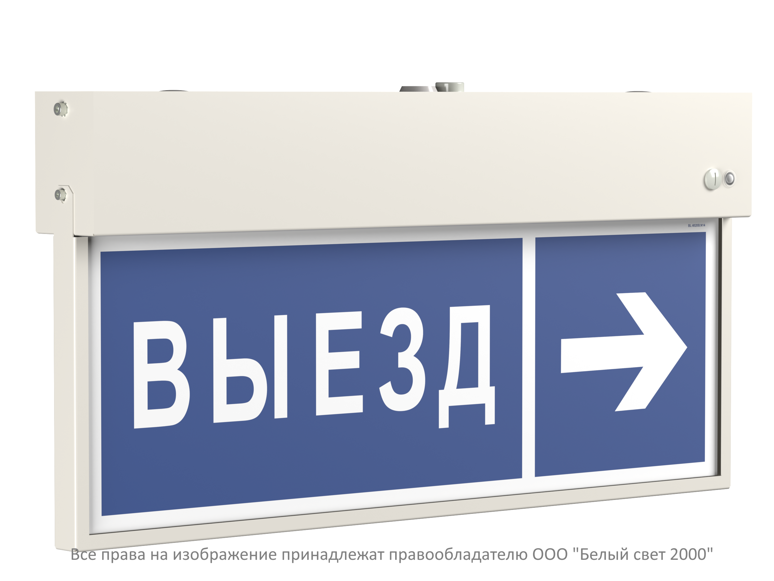 VIZIV