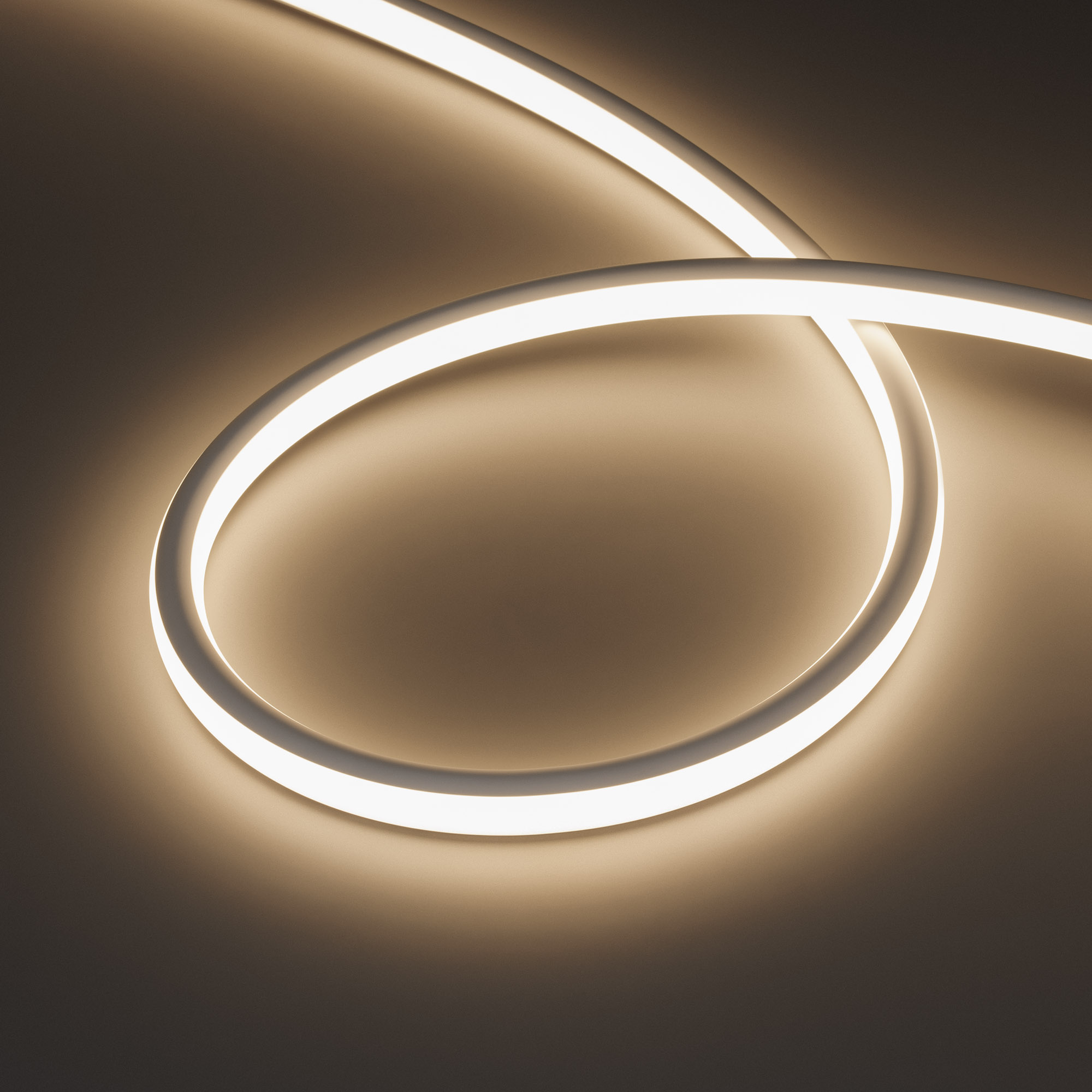 Arlight WAVE OVAL — Гибкий светодиодный неон — MONO [изгиб: MARKED; каналы: 1; высота, мм: 15.0; питание, В: 24.0; ширина, мм: 18.0]