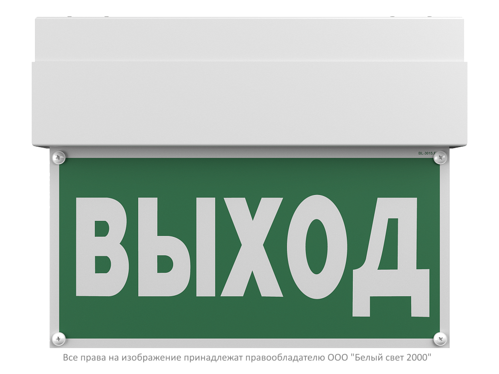 Световой указатель BS-TERON-10-S1-ELON