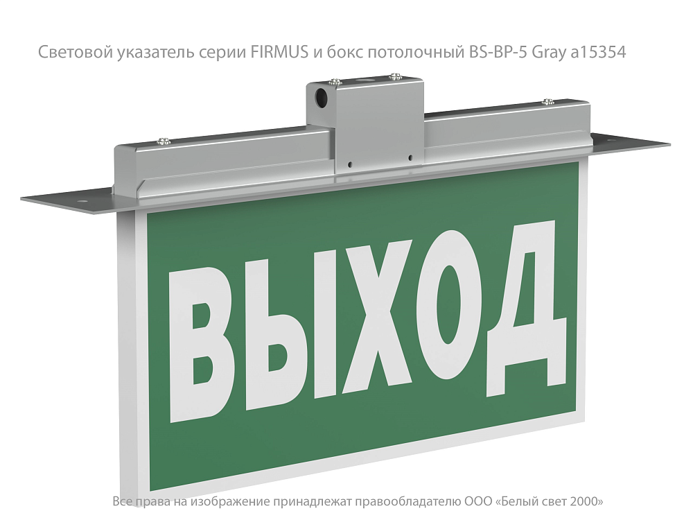 Световой указатель BS-FIRMUS-71-S1-INEXI2