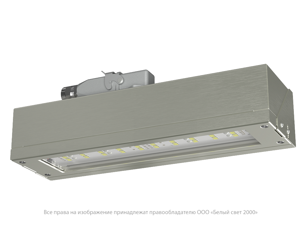 Аварийный светильник BS-DBU-10-L2-24
