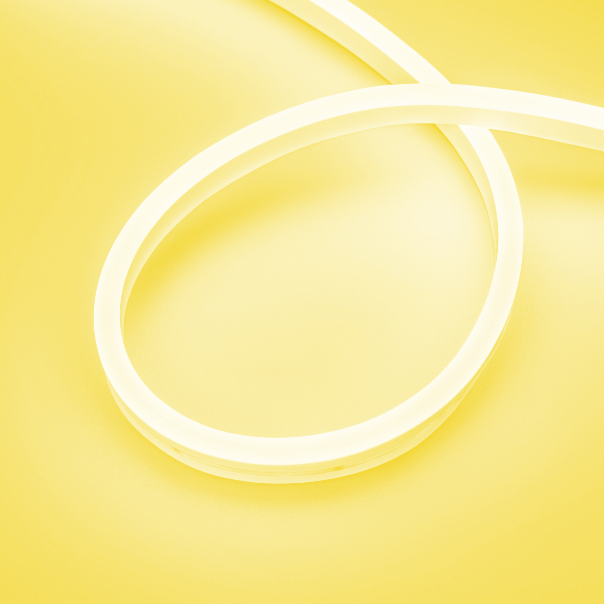 Arlight AURORA — Гибкий светодиодный неон — MONO [изгиб: SIDE; каналы: 1; исполнение: PS; высота, мм: 16.0; питание, В: 24.0; ширина, мм: 8.0]