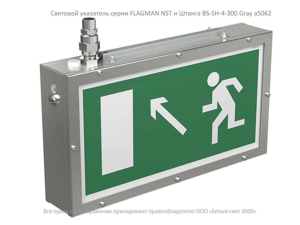 FLAGMAN NST — Аварийные светильники