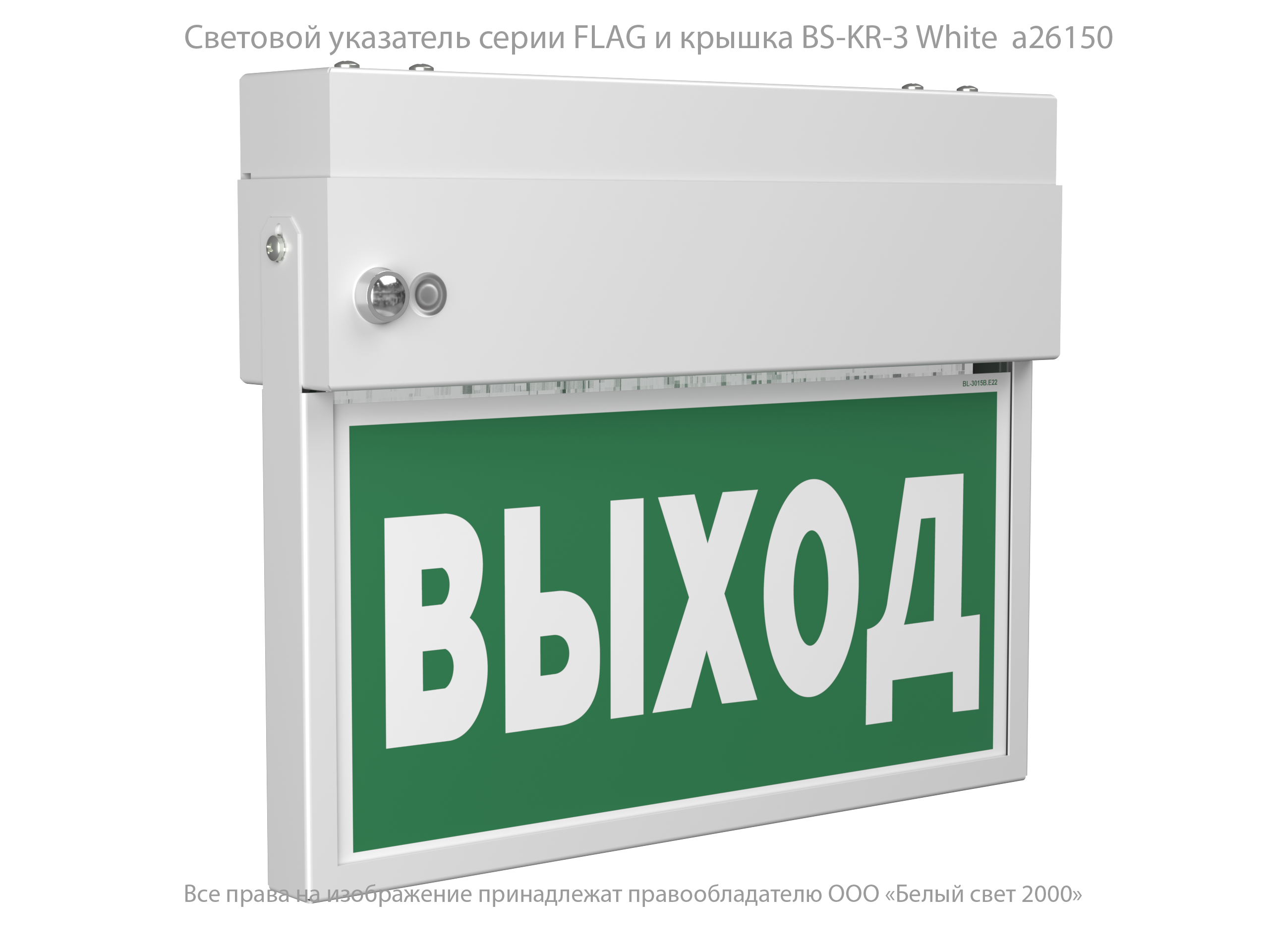 Световой указатель BS-FLAG-71-S1-INEXI3