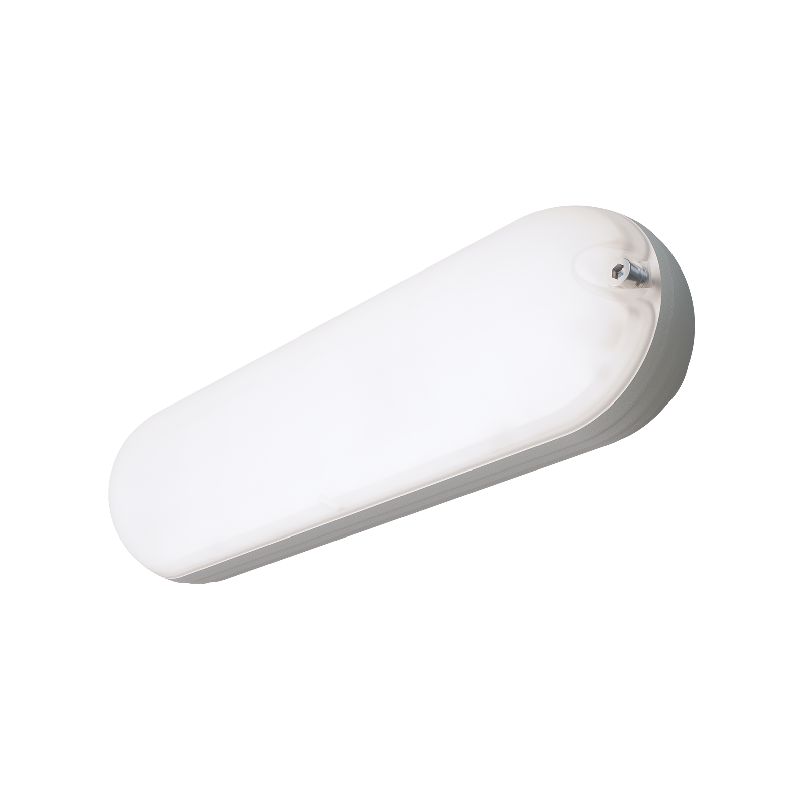 ДБО81 Capsule