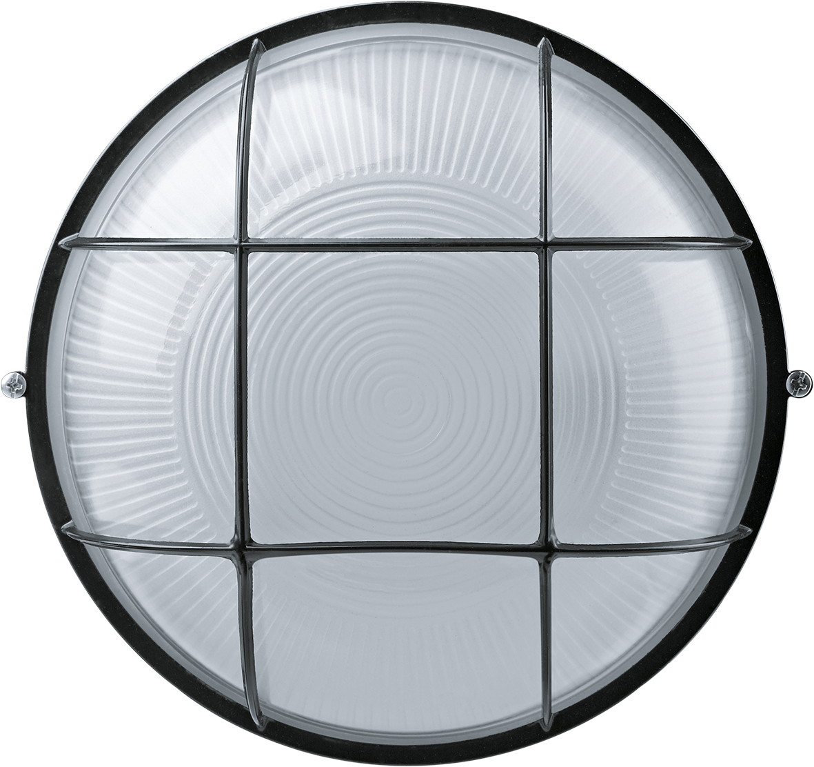Светильник Navigator 94 809 NBL-R2-100-E27/BL (НПБ 1102 / НПП 1102)