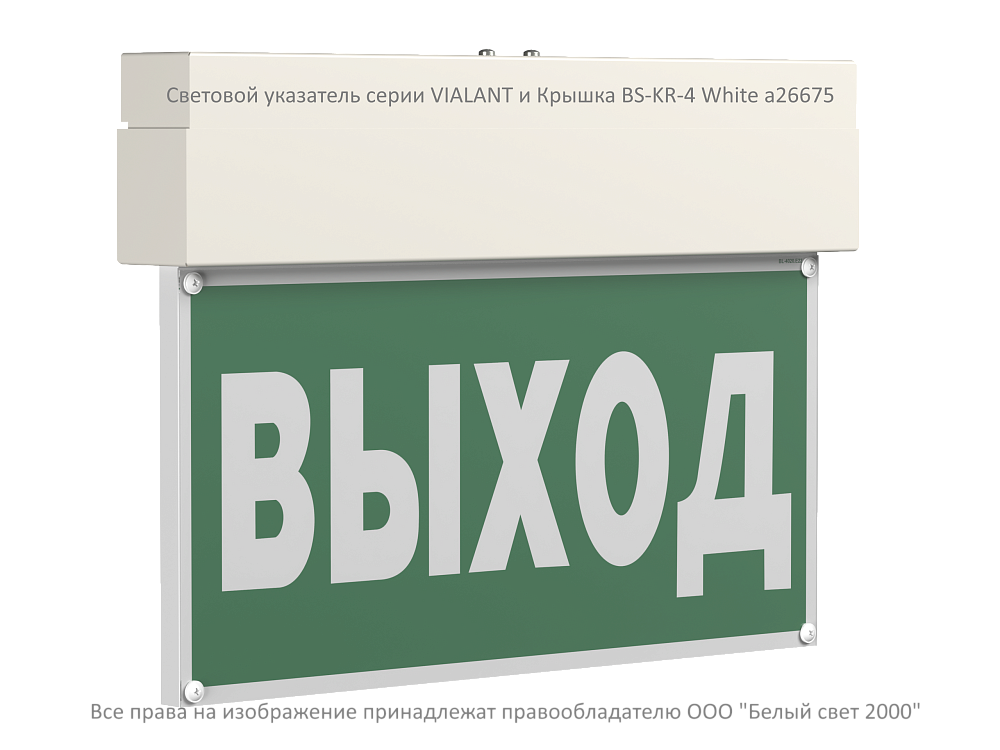 Световой указатель BS-VIALANT-10-S1-ELON