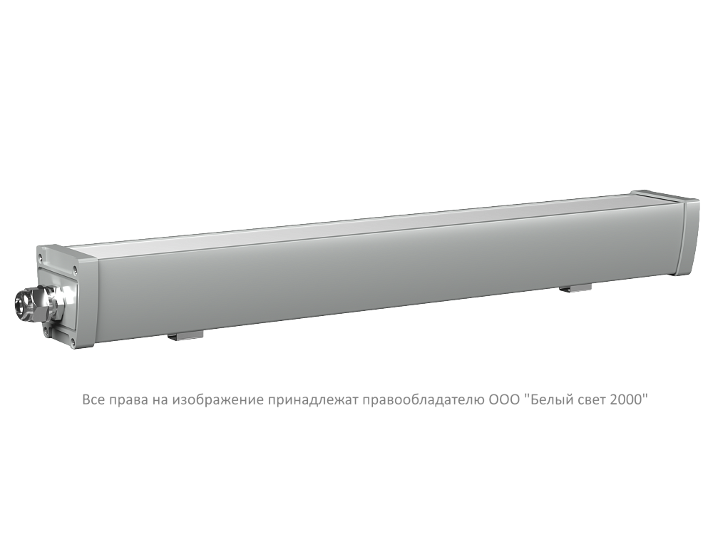 AMON L2 650