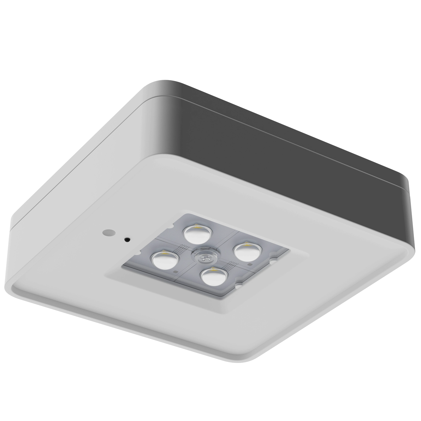 SPECTRA LED