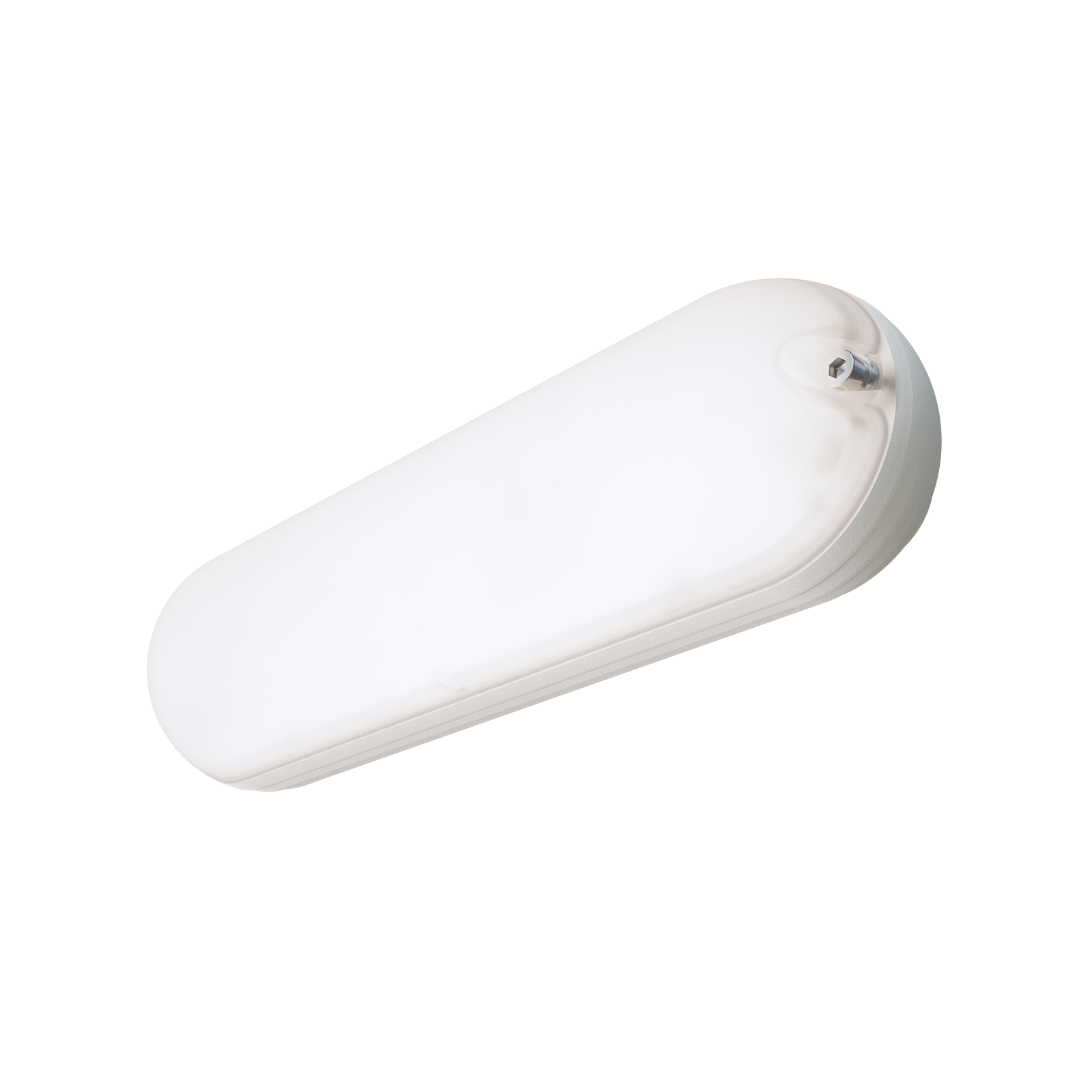 ДБО81 Capsule