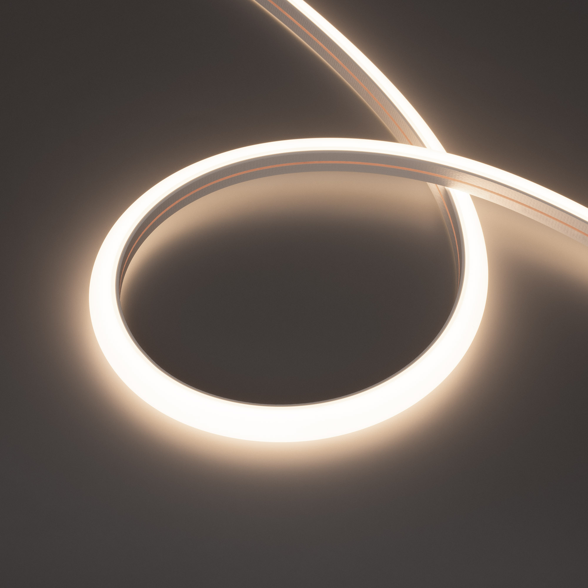 Arlight MOONLIGHT PRO — Гибкий светодиодный неон — MONO [изгиб: TOP; каналы: 1; высота, мм: 15.0; питание, В: 48.0; ширина, мм: 16.0]