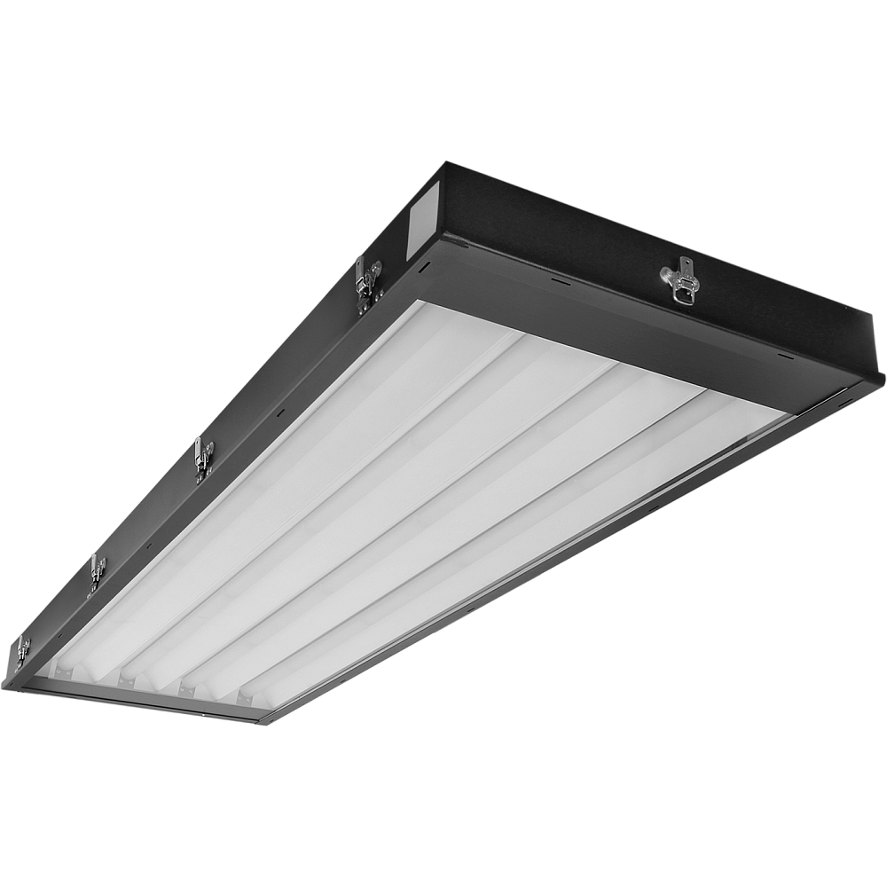 AUTOZEBRA LED