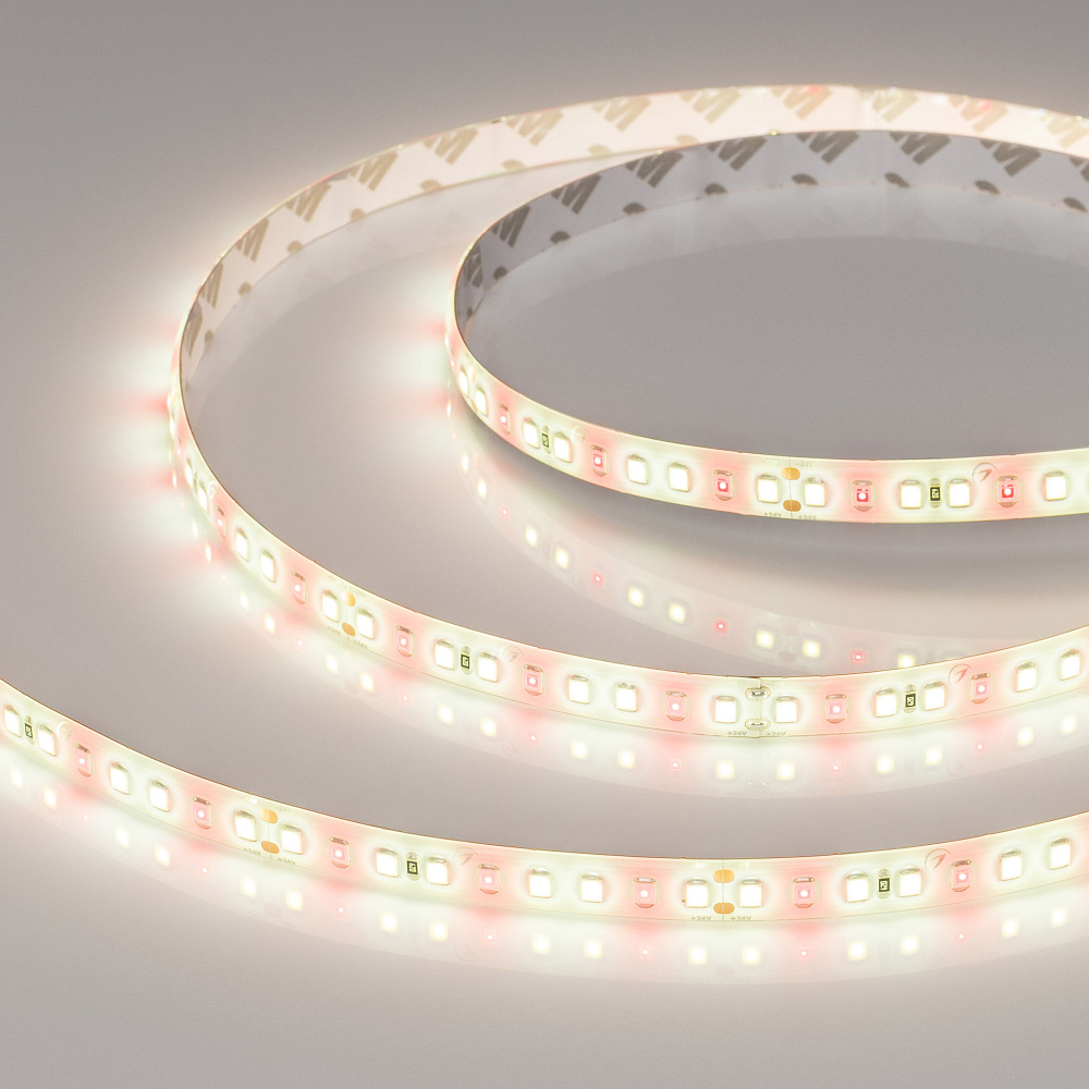 Arlight FITOLUX A144 — Гибкая светодиодная лента — MONO [каналы: 1; исполнение: SE; герметизация: Силикон, заливка сверху прозр. округл. - SE; высота, мм: 2.2; питание, В: 24.0; ширина, мм: 10.0]
