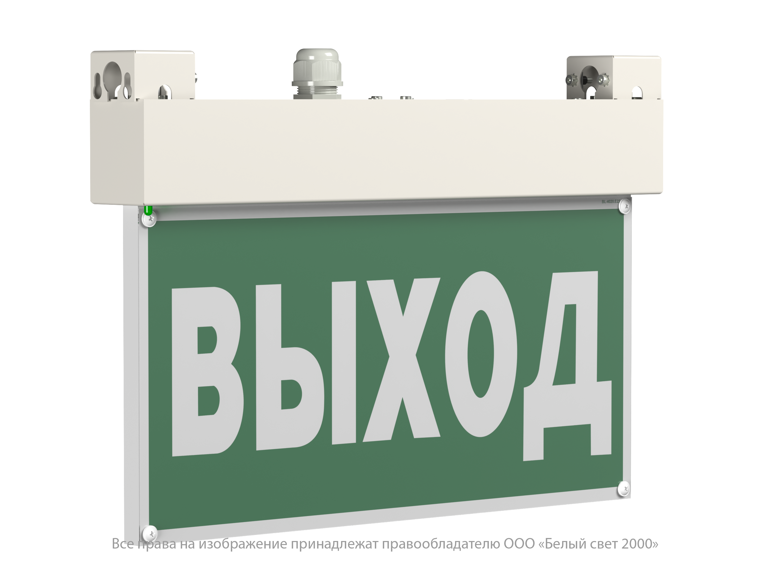 Световой указатель BS-EVERON-10-S1-24