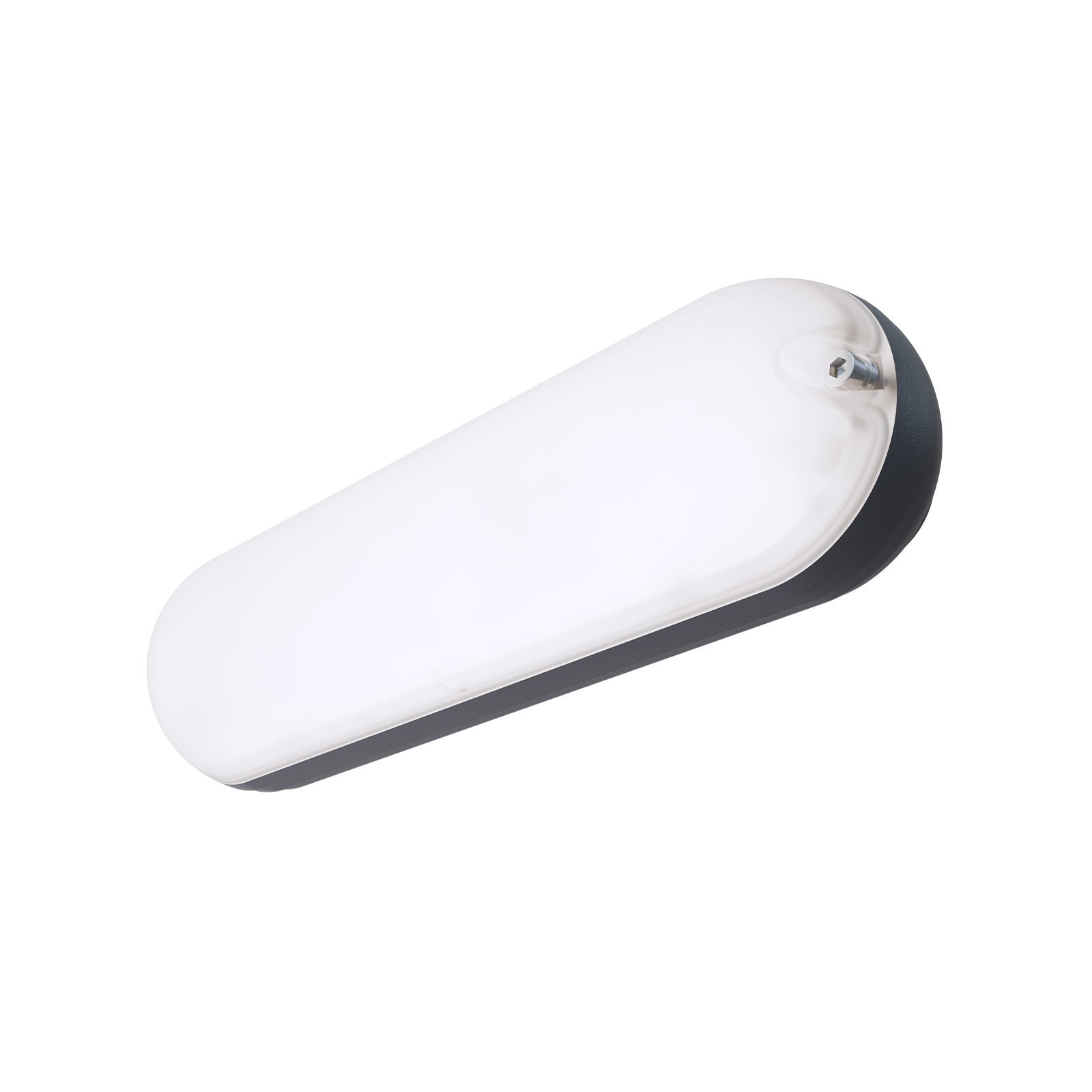 ДБО81 Capsule