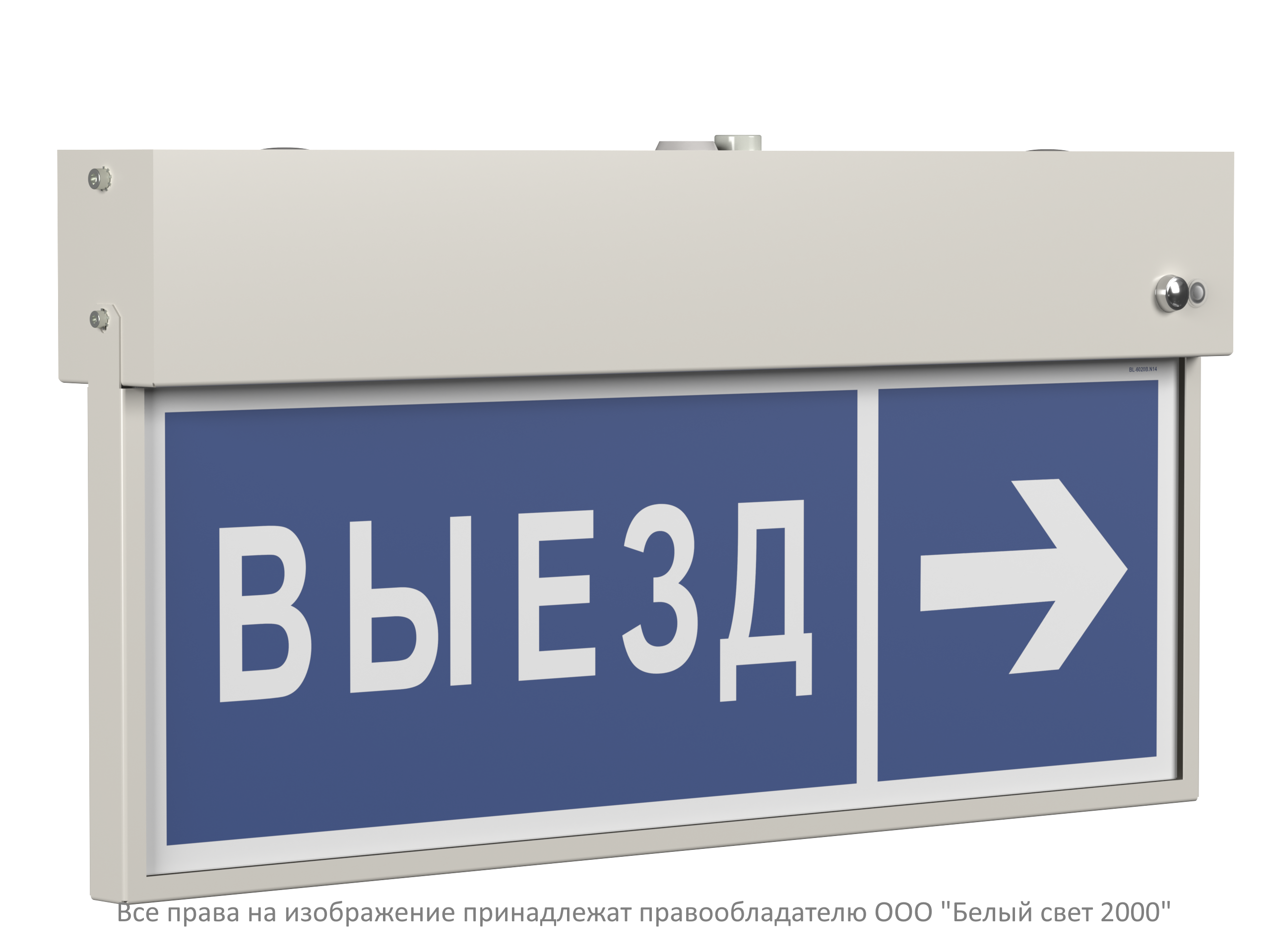 VIZIV
