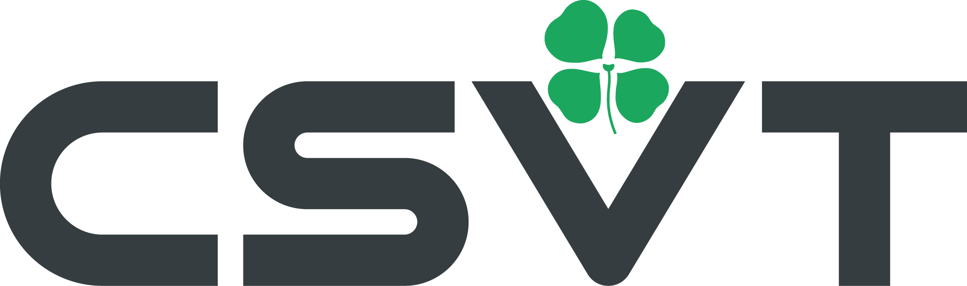 Изображение партнера ЦСВТ