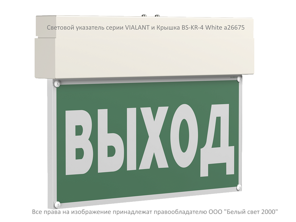 Световой указатель BS-VIALANT-51-S1-INEXI3