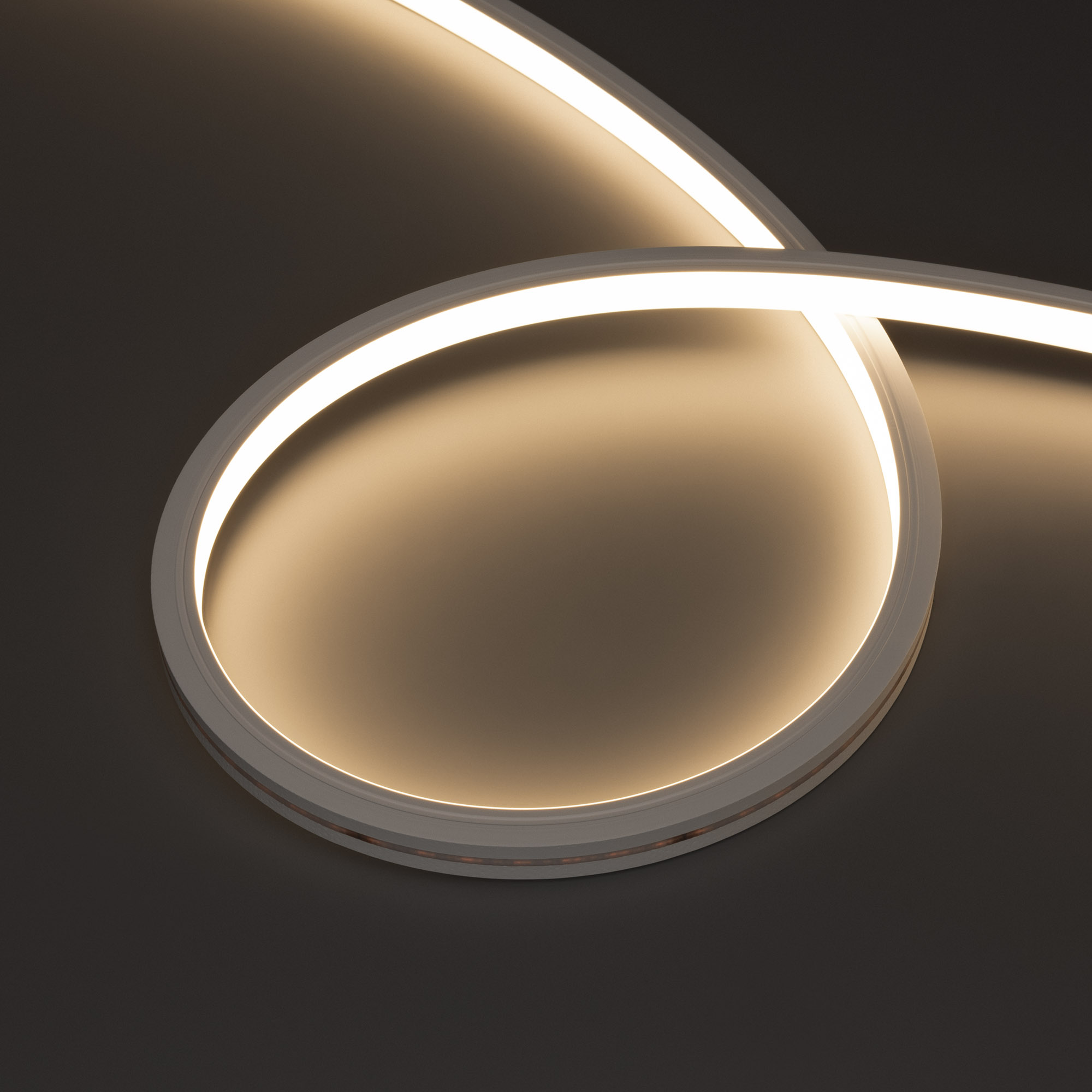 Arlight MOONLIGHT PRO — Гибкий светодиодный неон — RGBW [изгиб: TOP; каналы: 4; высота, мм: 12.0; питание, В: 24.0; ширина, мм: 13.0]