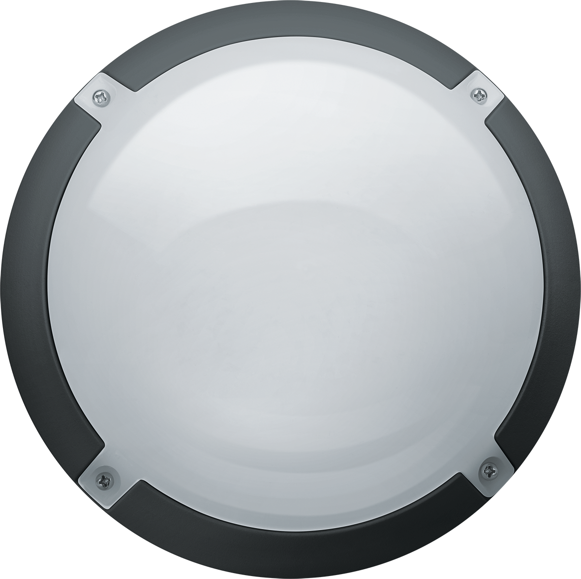 NBL-LED