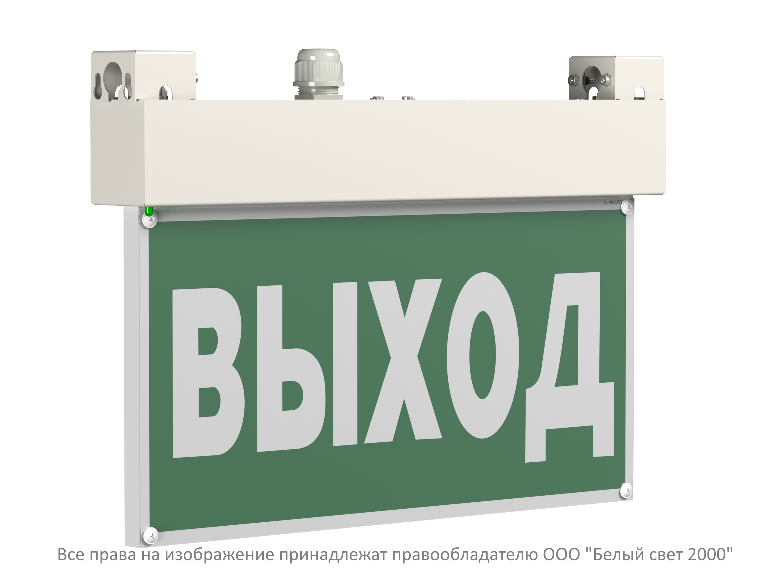 Световой указатель BS-VIALANT-10-S1-24
