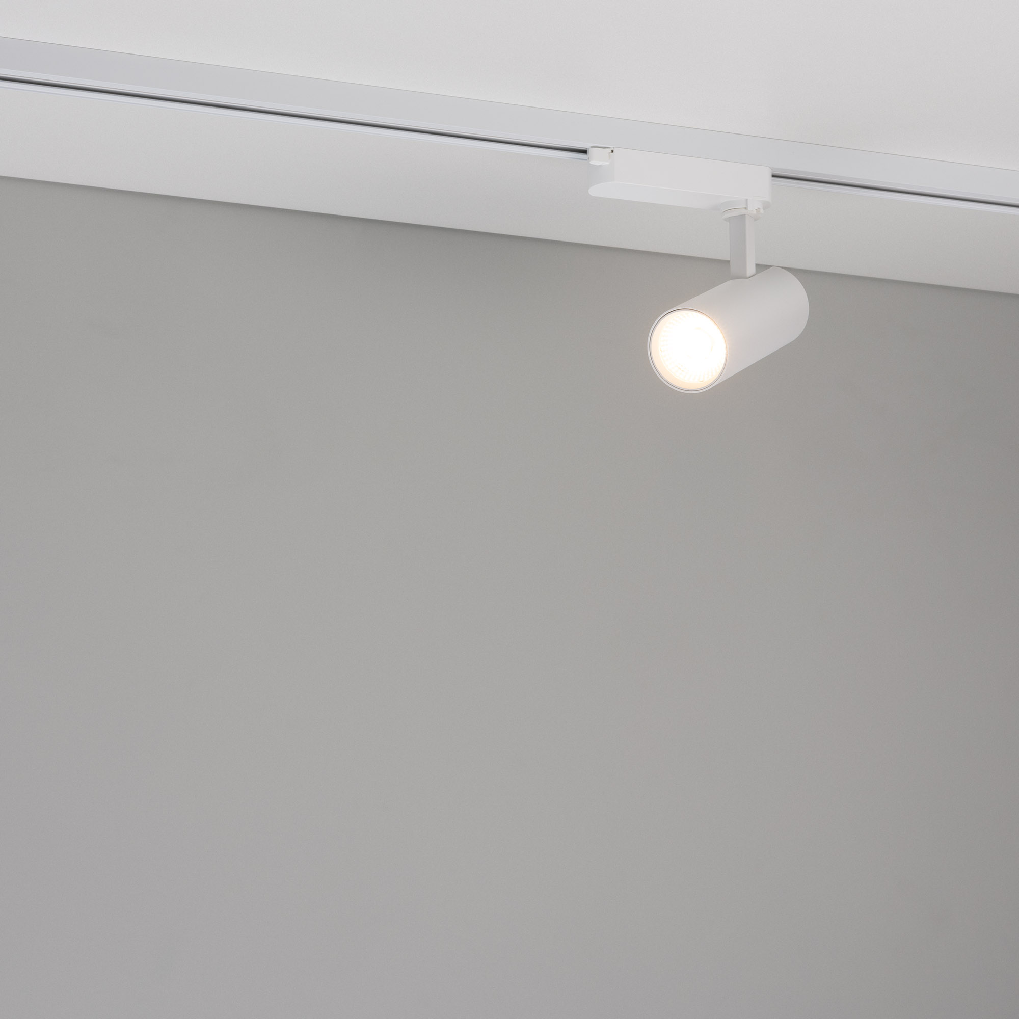 Светильник LGD-GERA-2TR-R55-10W Day4000 (WH, 24 deg, 230V) (Arlight, IP20 Металл, 5 лет)