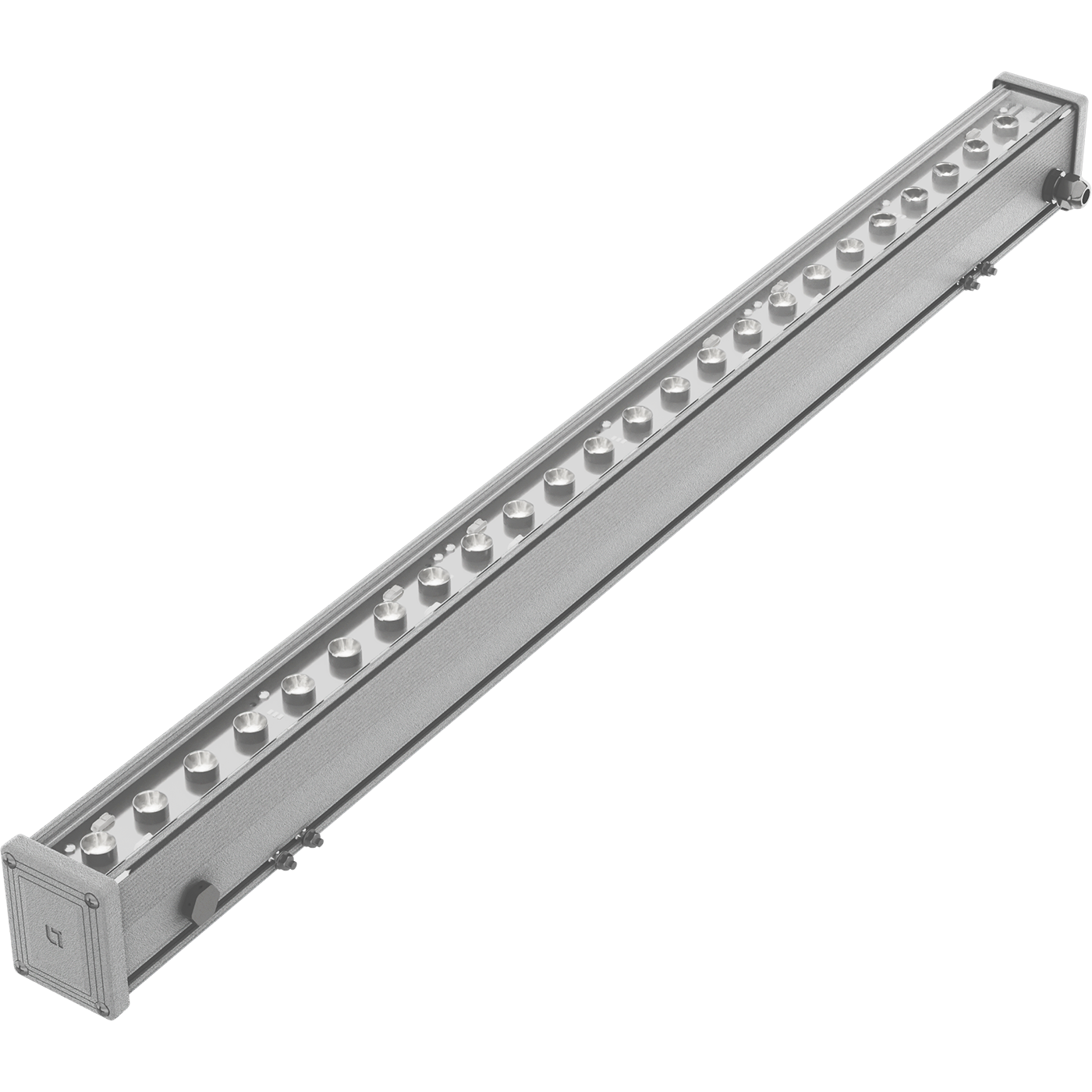 EVOLINE LED