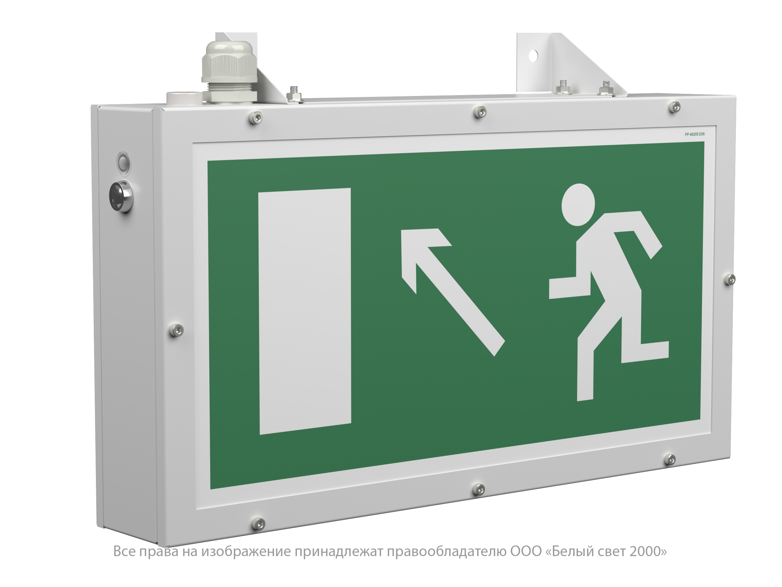 Световой указатель BS-FLAGMAN-10-S1-24
