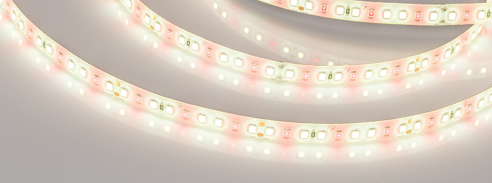 Arlight FITOLUX A144 — Гибкая светодиодная лента — MONO [каналы: 1; исполнение: SE; герметизация: Силикон, заливка сверху прозр. округл. - SE; высота, мм: 2.2; питание, В: 24.0; ширина, мм: 10.0]