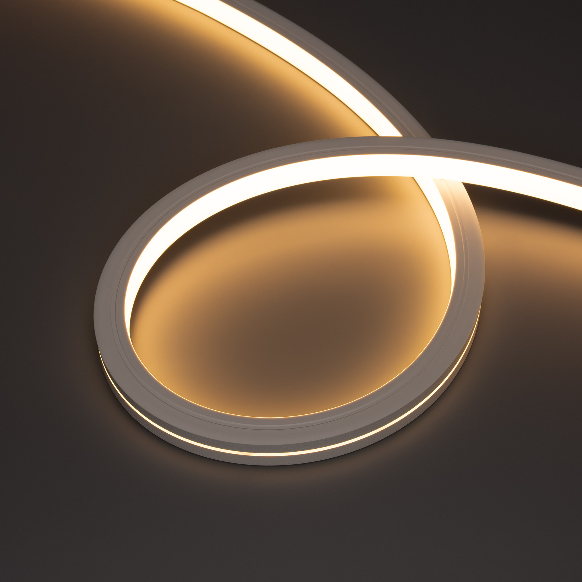 Гибкий неон Лента герметичная MOONLIGHT-PRO-TOP-X336-20x20mm 24V RGBW-Warm (12 W/m, IP67, 10m, wire x2) (Arlight, Вывод боковой, 5 лет)