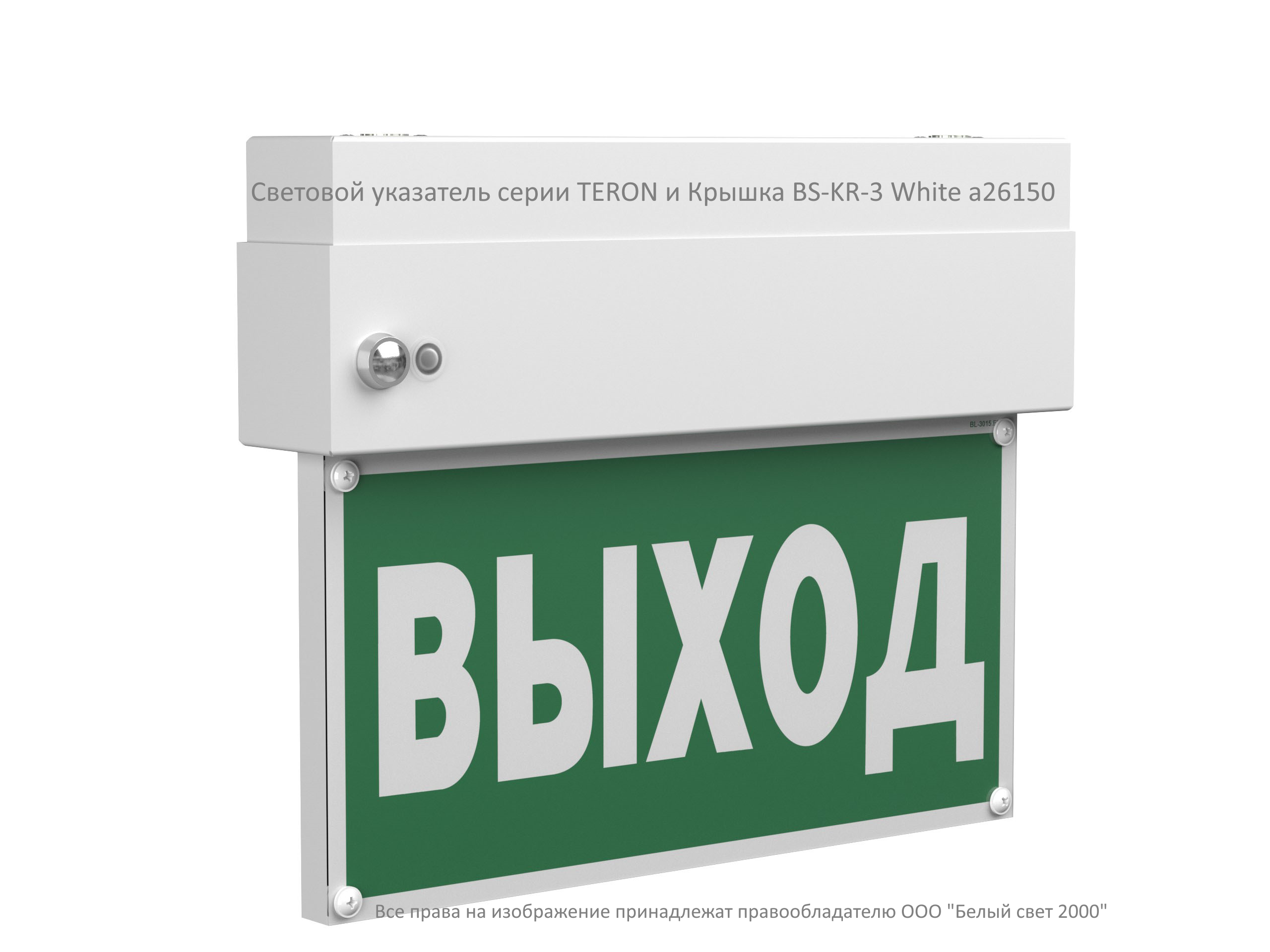 Световой указатель BS-TERON-73-S1-INEXI2
