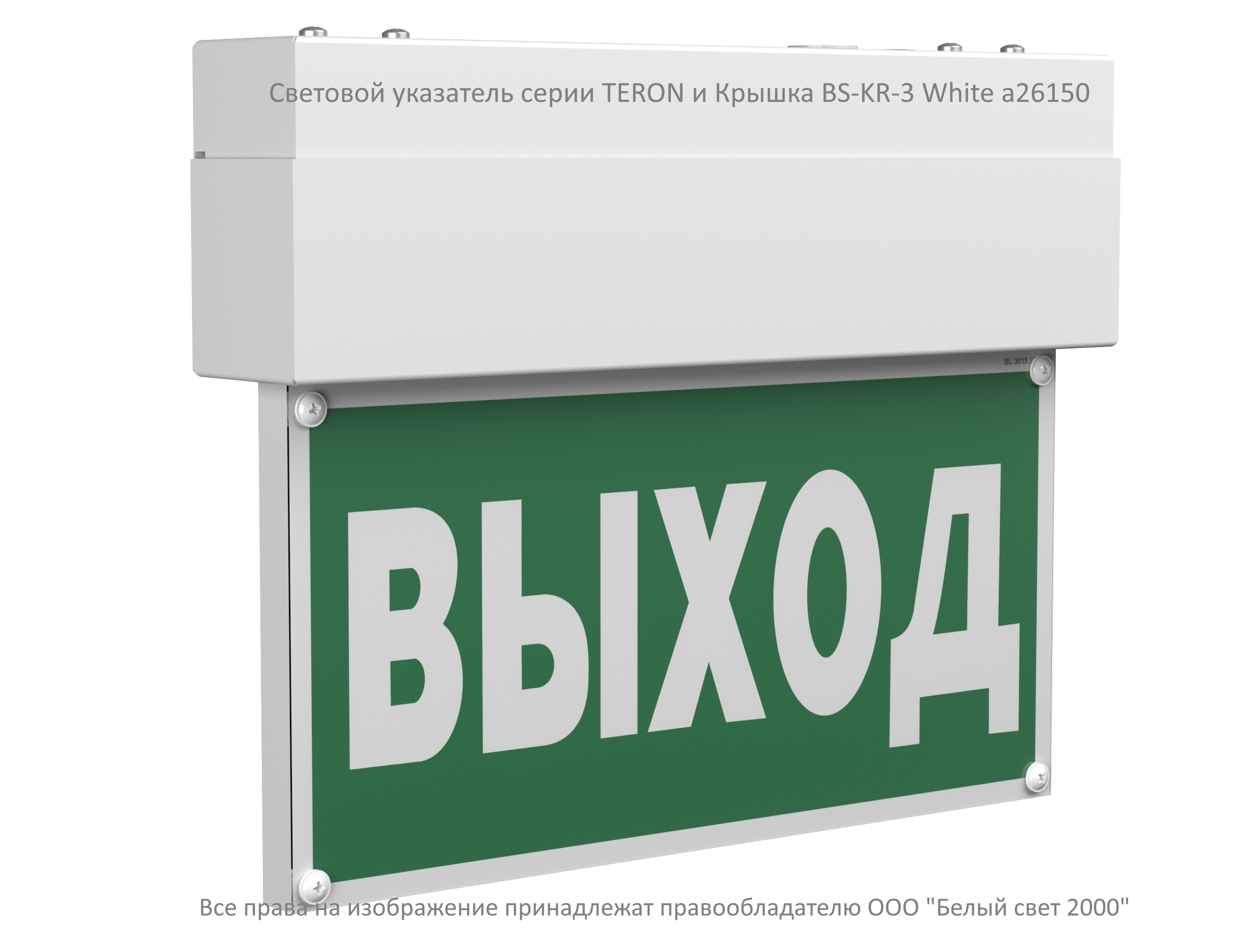 Световой указатель BS-TERON-10-S1-ELON