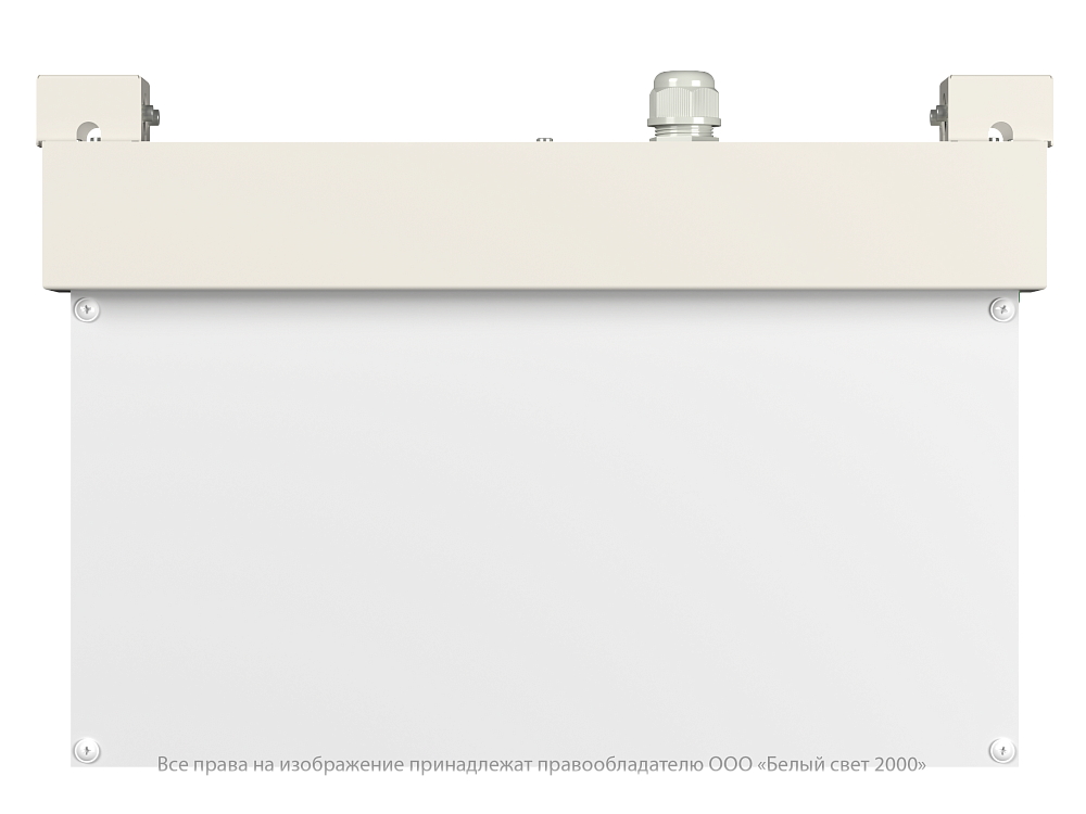 Световой указатель BS-EVERON-10-S1-24