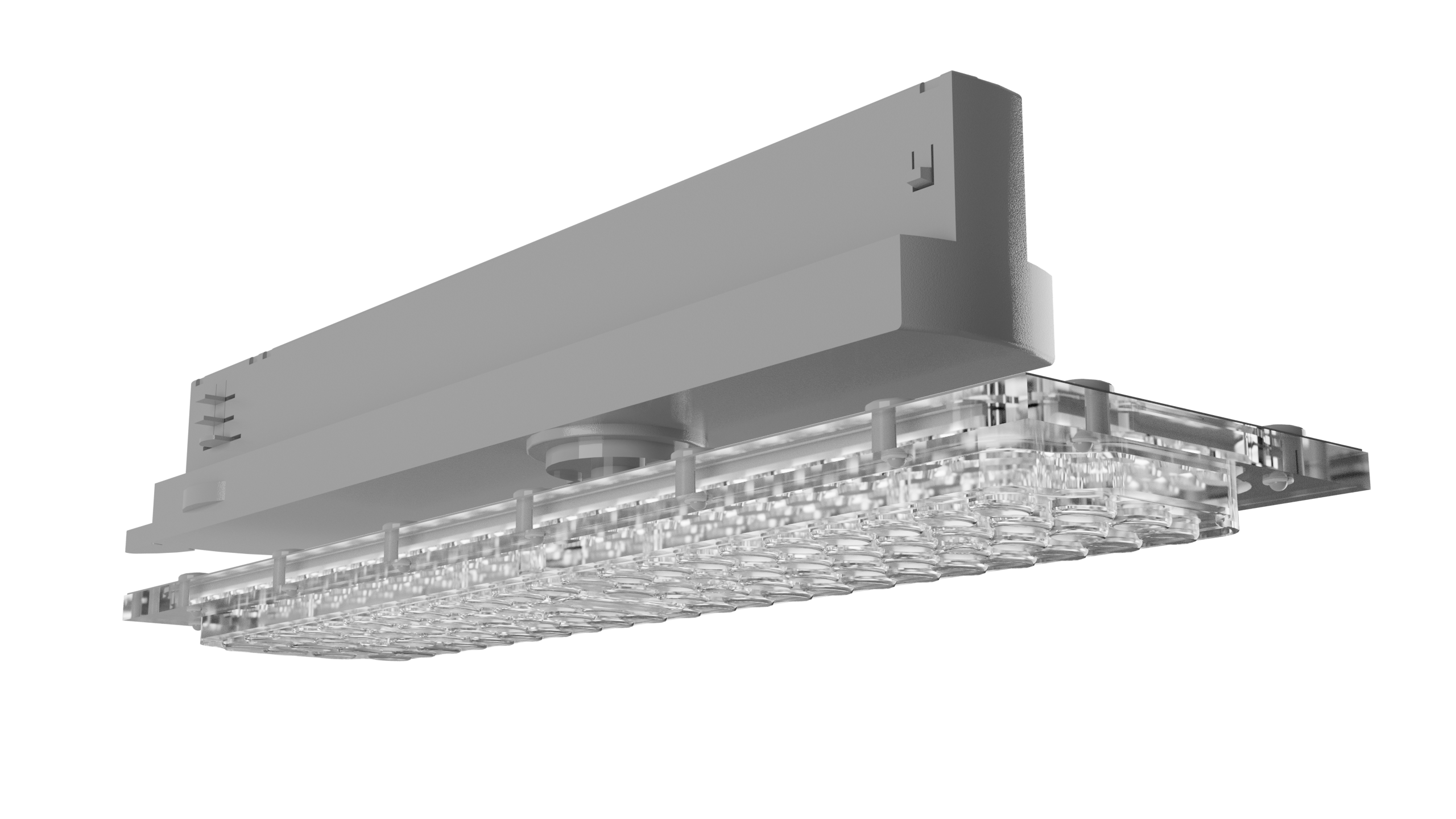 LEDEL — L-store Lite