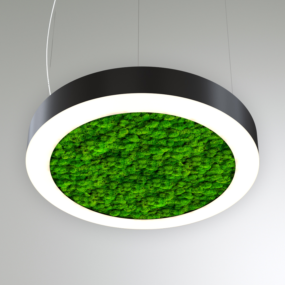 Светодиодный светильник RVE-LBX-MOSS-RING