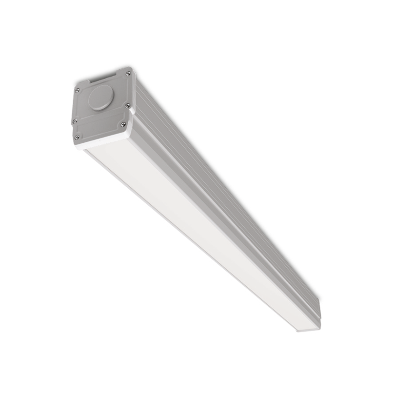 Светильники ДСП17 STD IP54
