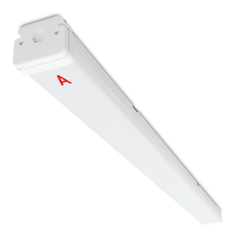 Светильники ДСП15 STD с БАП EM1 / EM3 IP67