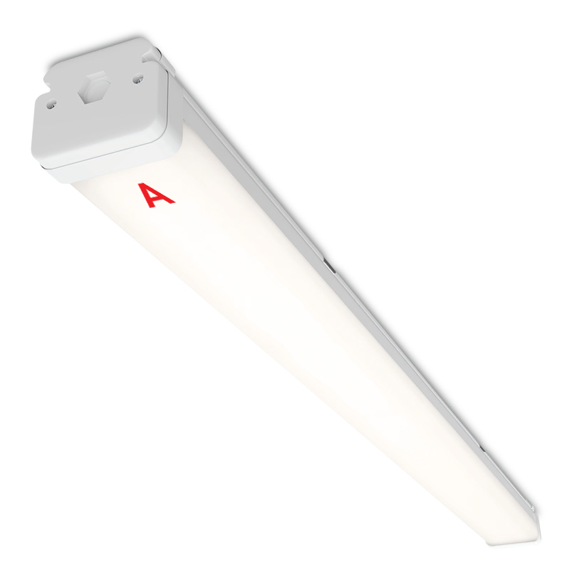 Светильники ДСП15 STD с БАП EM1 / EM3 IP67